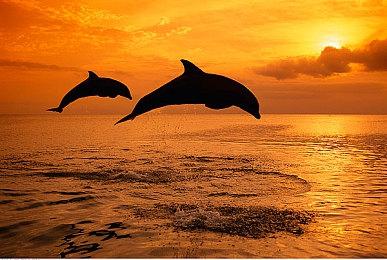 《辐射76》地图资料片“天际谷”新预告 本周上线