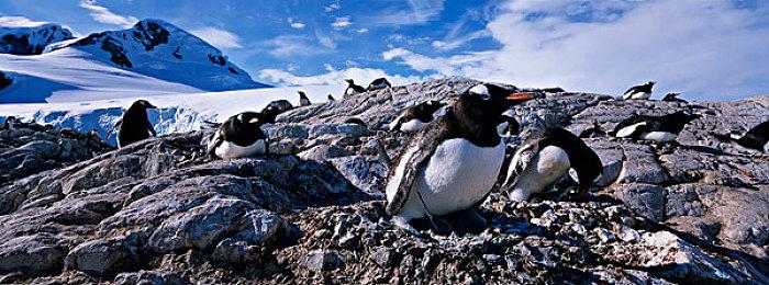 KK对战平台人气新图推荐 魔法御姐并肩作战，大战天兵重走西游路！